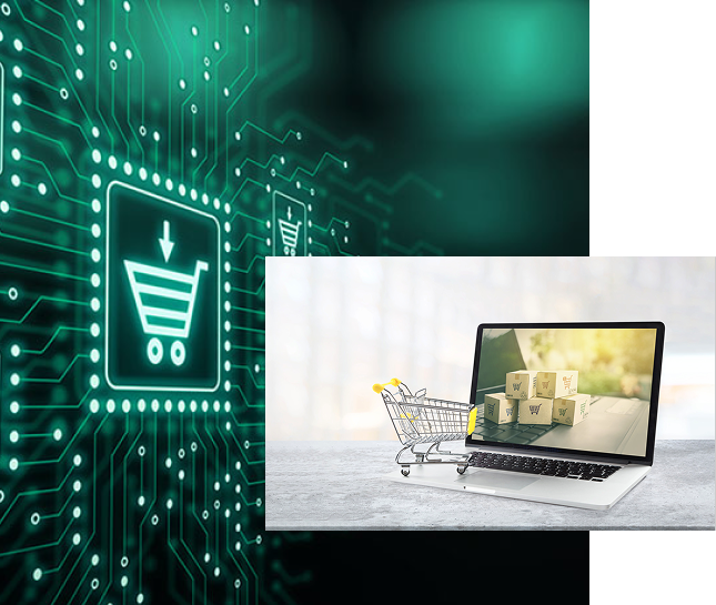 eCommerce Application Development Healthcare Software Development