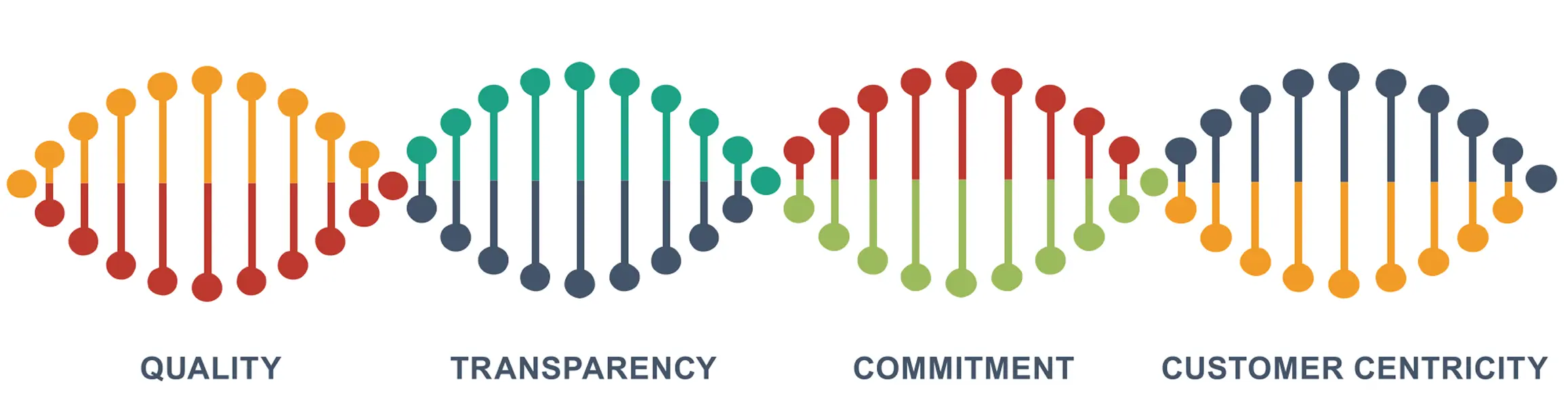 AppleTech core values: innovation, quality, client focus and transparency